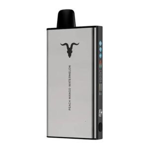Ignite v400 ICE - 40.000 puffs